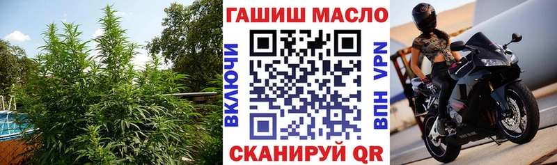 ТГК жижа  кракен онион  Новосиль 