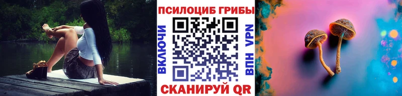 darknet какой сайт  Новосиль  Псилоцибиновые грибы Cubensis 